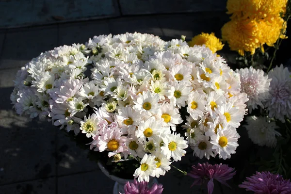 Beautiful flowers in bucket on street flower market.