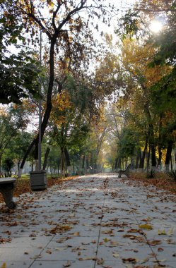 Autumn City Park sahnesi. Şehirde sonbahar. Sonbahar şehri sahnesi. Sonbahar manzarası
