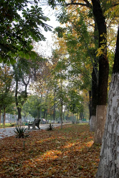 Escena Del Parque Ciudad Otoño Otoño Ciudad Escena Otoño Ciudad —  Fotos de Stock