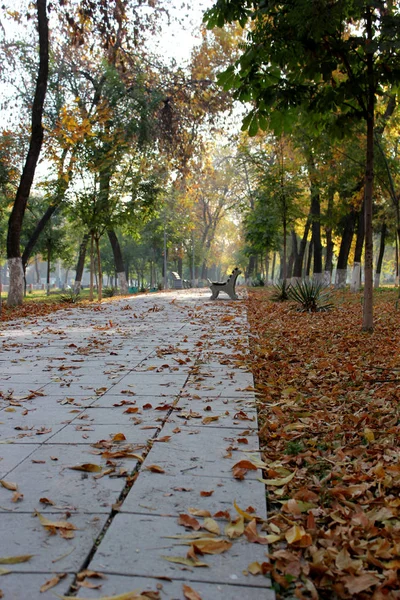 秋の都市公園のシーン 街の秋 秋の街の風景 秋の風景 — ストック写真