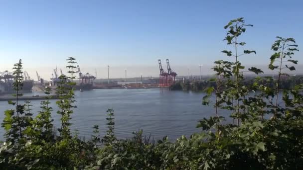 Elbe Floden Hamburg Zoom Till Hamnen Tranorna Motion Tidsfördröjning — Stockvideo