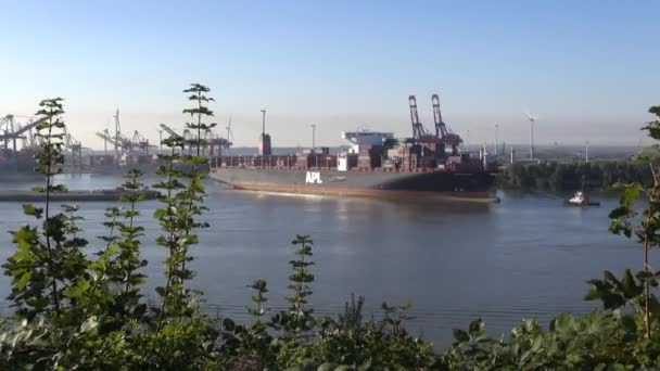 Elbe Fluss Hamburg Containerschiff Verlässt Den Hafen Zeitraffer — Stockvideo