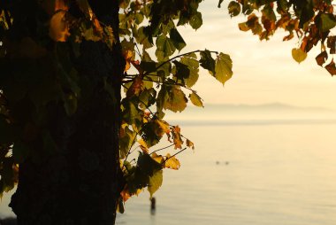 Lindau, Almanya: Bir görünümünü Bodensee (aka Bodensee), uzaktan Avusturya ve İsviçre, yaz aylarında gün batımında. Lindau pozisyonda: toz Kulesi (Almanca: Pulverturm)