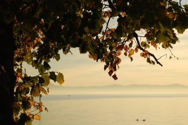Lindau, Almanya: Bir görünümünü Bodensee (aka Bodensee), uzaktan Avusturya ve İsviçre, yaz aylarında gün batımında. Lindau pozisyonda: toz Kulesi (Almanca: Pulverturm)