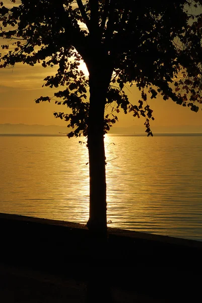 Линмдаль Германия Вид Мбаппе Боденское Озеро Расстоянии Австрии Швейцарии Закате — стоковое фото