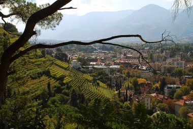 Meran için görüntülemek, 