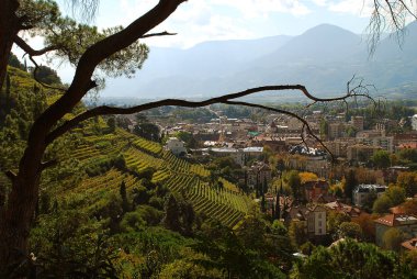 Meran için görüntülemek, 