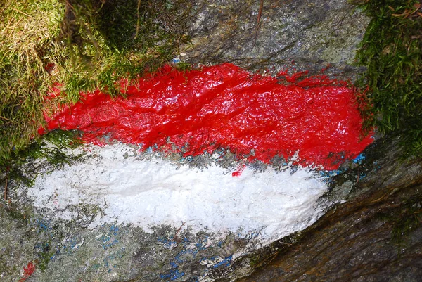 Huella Roja Blanca Una Piedra Ruta Del Bosque Sendero Sendero — Foto de Stock