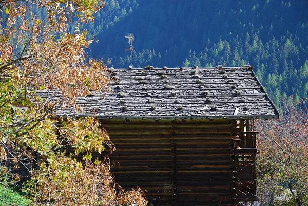 Котедж Долині Ultental Німецька Ultental Або Ulten Італійська Val Ultimo — стокове фото