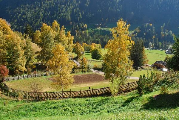 Ultental Tal Deutsch Ultental Oder Ulten Italienisch Val Ultimo Südtirol — Stockfoto