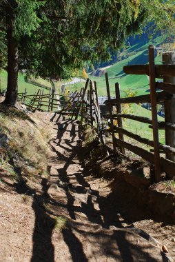 Yol Ultental Vadisi'nde hiking (Almanca: Ultental veya Ulten, İtalyanca: Val d'Ultimo), South Tyrol, İtalya