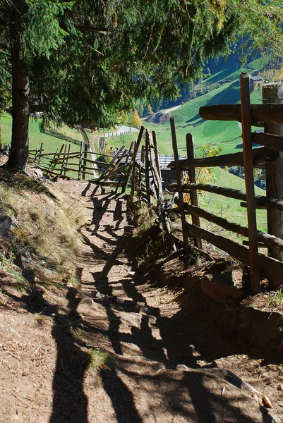 Yol Ultental Vadisi'nde hiking (Almanca: Ultental veya Ulten, İtalyanca: Val d'Ultimo), South Tyrol, İtalya