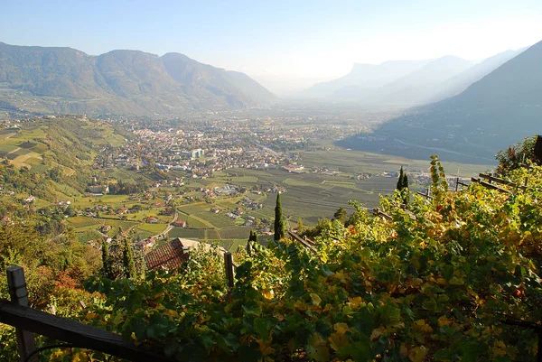 View Adige Valley Standind Vieyard Merano Bolzano South Tyrol Italy — Stock Photo, Image