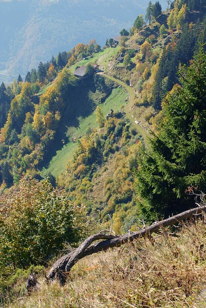 在意大利南蒂罗尔梅兰附近的意大利阿尔卑斯山的草地和小屋的看法 — 图库照片