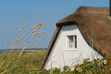 Kıyı yatay, tipik bir gün güneşli yaz, Ahrenshoop, Darss, Almanya Baltık Denizi sahilinde bina thatched. Darss orta, Yarımada, Fischland-Darss-Zingst Baltık Denizi'nin güney kıyısında bir parçasıdır