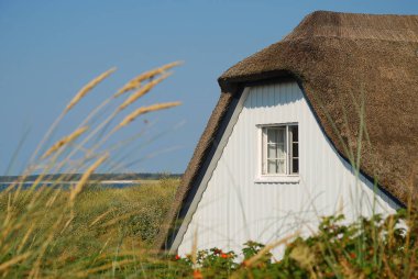 Kıyı yatay, tipik bir gün güneşli yaz, Ahrenshoop, Darss, Almanya Baltık Denizi sahilinde bina thatched. Darss orta, Yarımada, Fischland-Darss-Zingst Baltık Denizi'nin güney kıyısında bir parçasıdır