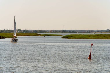 Baltık Denizi kıyısında güneşli yaz günü, Darss, Almanya, kıyı tesisleri, yatay Bodden. Darss orta, Yarımada, Fischland-Darss-Zingst Baltık Denizi'nin güney kıyısında bir parçasıdır