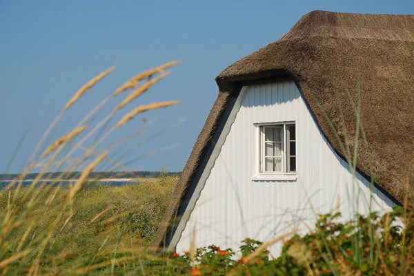 Kıyı yatay, tipik bir gün güneşli yaz, Ahrenshoop, Darss, Almanya Baltık Denizi sahilinde bina thatched. Darss orta, Yarımada, Fischland-Darss-Zingst Baltık Denizi'nin güney kıyısında bir parçasıdır