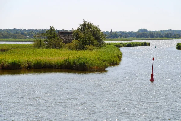 Bodenlandschaft Mit Küstenpflanzen Der Ostseeküste Sonnigen Sommertagen Darß Deutschland Darß — Stockfoto