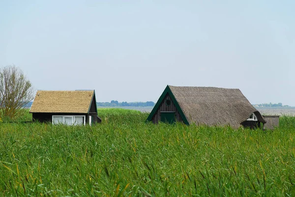 Bodden Landscape Typical Thatched Buildings Baltic Sea Coast Sunny Summer — Stock Photo, Image