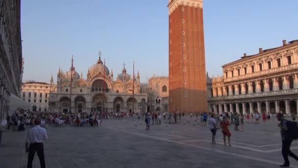 マルコ大聖堂とヴェネツィアのサン マルピレ カンパニレ マルコ の鐘塔とサンマルコ広場 — ストック動画