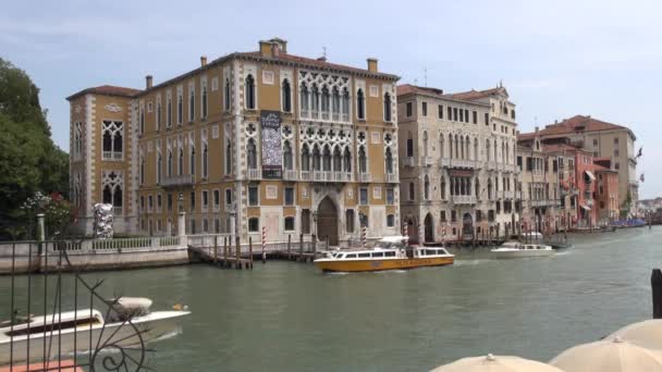 Uitzicht Het Canal Grande Venetië Italië Vanaf Accademia Brug Real — Stockvideo