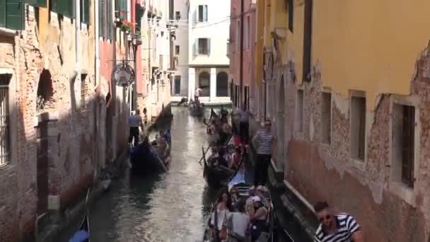 Tidsfördröjning Gondoler Venedig Italien Rusningstid Trång Kanal — Stockvideo