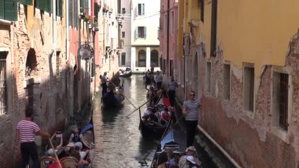 Gondolas Στη Βενετία Ιταλία Ώρα Αιχμής Ένα Στενό Κανάλι — Αρχείο Βίντεο