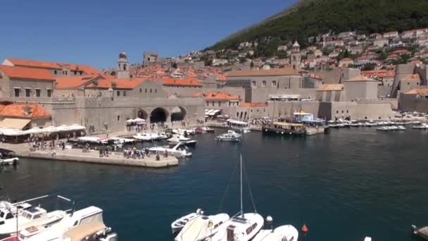 クロアチア ドゥブロヴニク港 グルーズ港はドゥブロヴニクへの主要な海上入り口で ヨット フェリー クルーズ船の忙しい港です — ストック動画
