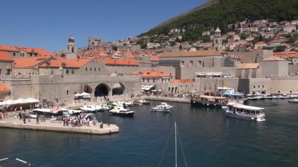 クロアチア ドゥブロヴニク港 グルーズ港はドゥブロヴニクへの主要な海上入り口で ヨット フェリー クルーズ船の忙しい港です — ストック動画