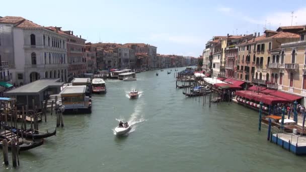 Vista Desde Puente Rialto Venecia Italia Gran Canal Con Barcos — Vídeos de Stock