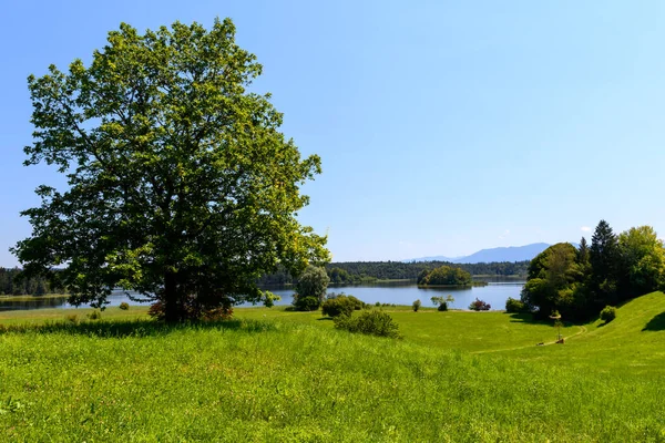 Ostersee gölleri Münih 'in güneyi, Almanya