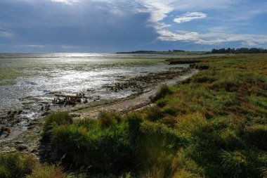 Wadden Denizi, Amrum Adası, Kuzey Frizya Adası, Schleswig-Holstein, Almanya