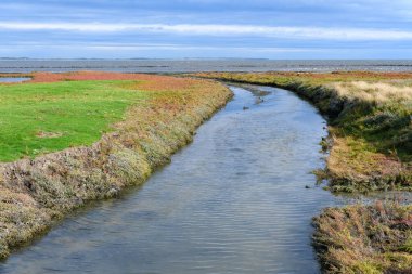 Wadden Denizi 'nin kuzeyinde, Almanya' nın kuzeyinde Schleswig-Holstein eyâletinde, Amrum Adası, Kuzey Denizi 'nde bir hendeği vardı.