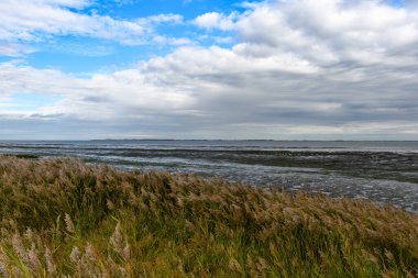 Wadden Denizi, Amrum Adası, Kuzey Frizya Adası, Schleswig-Holstein, Almanya