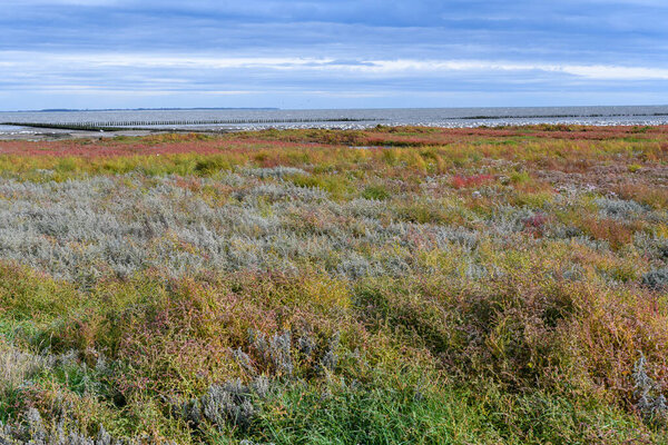 Wadden Sea at low tide on Amrum Island, North Sea, North Frisian Island, Schleswig-Holstein, Germany
