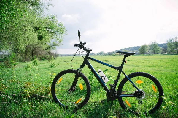 Sporty rowerowe na popołudnie słoneczny wiosna na łące — Zdjęcie stockowe