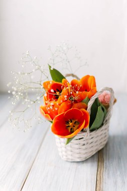 Lale Beyaz ahşap zemin üzerinde bir sepet içinde