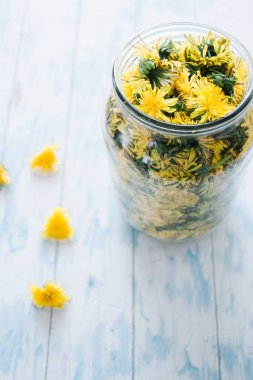 Mavi ahşap arka plan üzerinde bir cam kavanoza çiçek açan karahindiba