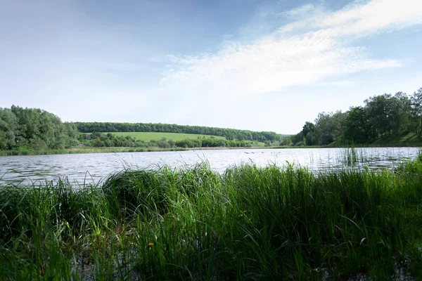 Summer morning landscape on the nature near the river — Stock Photo, Image