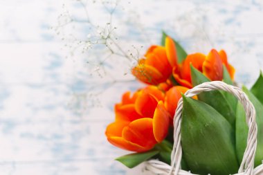 Lale Beyaz ahşap zemin üzerinde bir sepet içinde