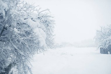 Köyün kış kar yağışı. Karlı Daralt
