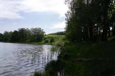 Yaz sabah manzara Nehri yakınında niteliğine