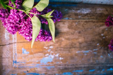 Eski bir ahşap zemin üzerine çiçek leylak