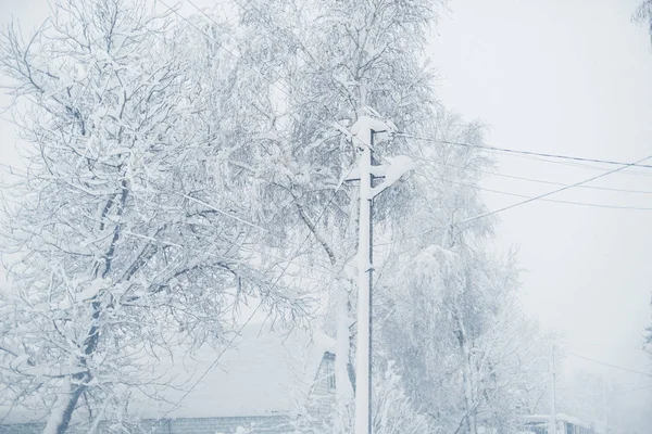 Winter snowfall in the village. Snowy collapse — Stock Photo, Image