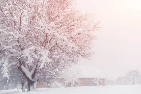 Köyün kış kar yağışı. Karlı Daralt — Stok fotoğraf