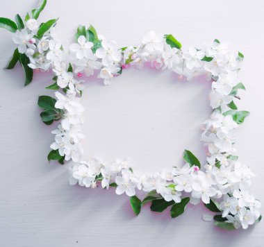 Elma ağacı dalları mavi ahşap arka plan üzerinde çiçeklenme