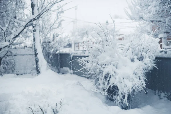 Зимові снігопади в селі. Сніговий крах — стокове фото