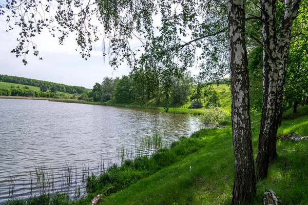 Летний утренний пейзаж на природе у реки — стоковое фото