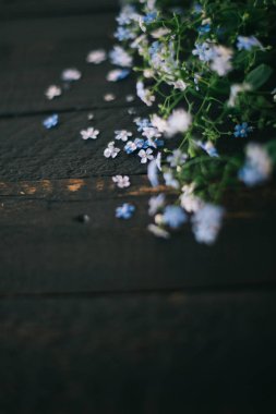 Siyah bir zemin üzerine mavi küçük çiçekler